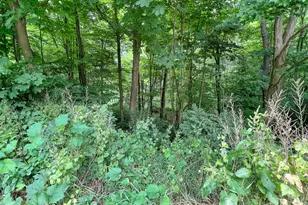 171 Center Rd, Vernon, CT 06066 - Photo 1