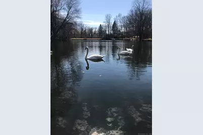 200 Griffin Avenue, Bridgeport, CT 06606 - Photo 1