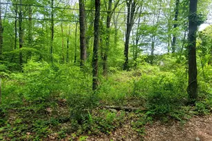 33A Laurel Point Dr, Montville, CT 06370 - Photo 1