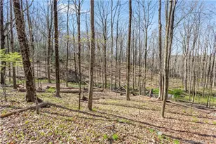 238 North St, Roxbury, CT 06783 - Photo 1