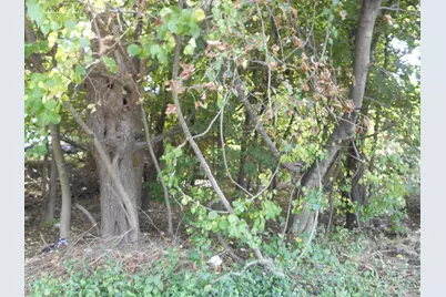 Long Hill Road, Waterbury, CT 06704 - Photo 1