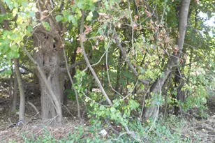 Long Hill Rd, Waterbury, CT 06704 - Photo 1