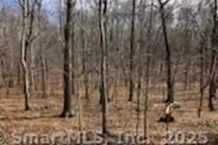 42 A P Gates Rd, East Haddam, CT 06423 - Photo 1