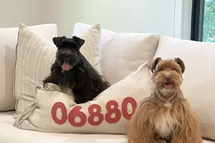 26 Hitchcock Road, Westport, CT 06880 - Photo 1