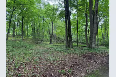 130 Alpha Avenue, Winchester, CT 06098 - Photo 1