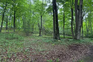 130 Alpha Ave, Winchester, CT 06098 - Photo 1