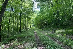 0 Couch Rd, Warren, CT 06754 - Photo 1