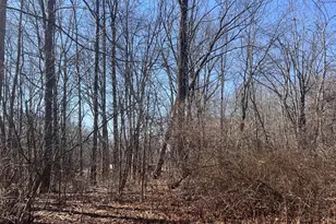 53 Hillcrest Ave, Bloomfield, CT 06002 - Photo 1