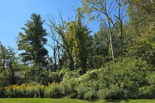 Ashley Dr, Goshen, CT 06756 - Photo 1