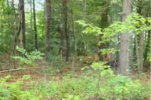 Oak Dr, Mansfield, CT 06250 - Photo 1