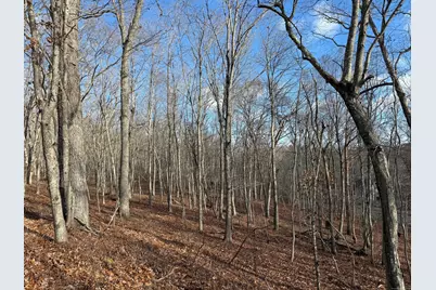 Chesterfield Road, East Lyme, CT 06333 - Photo 1