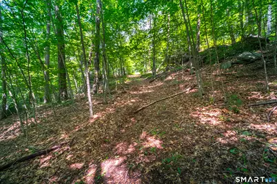 61 Silver Springs Drive, Haddam, CT 06441 - Photo 1