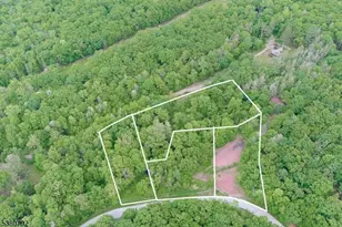 13 Brookhaven Way, Montague, NJ 07827 - Photo 1