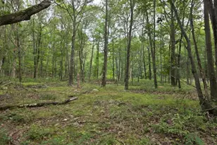 75 Far View Rd, Hope Township, NJ 07838 - Photo 1