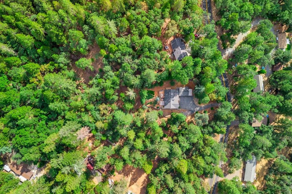 6059 Green Leaf Ln, Michigan Bluff, CA 95631