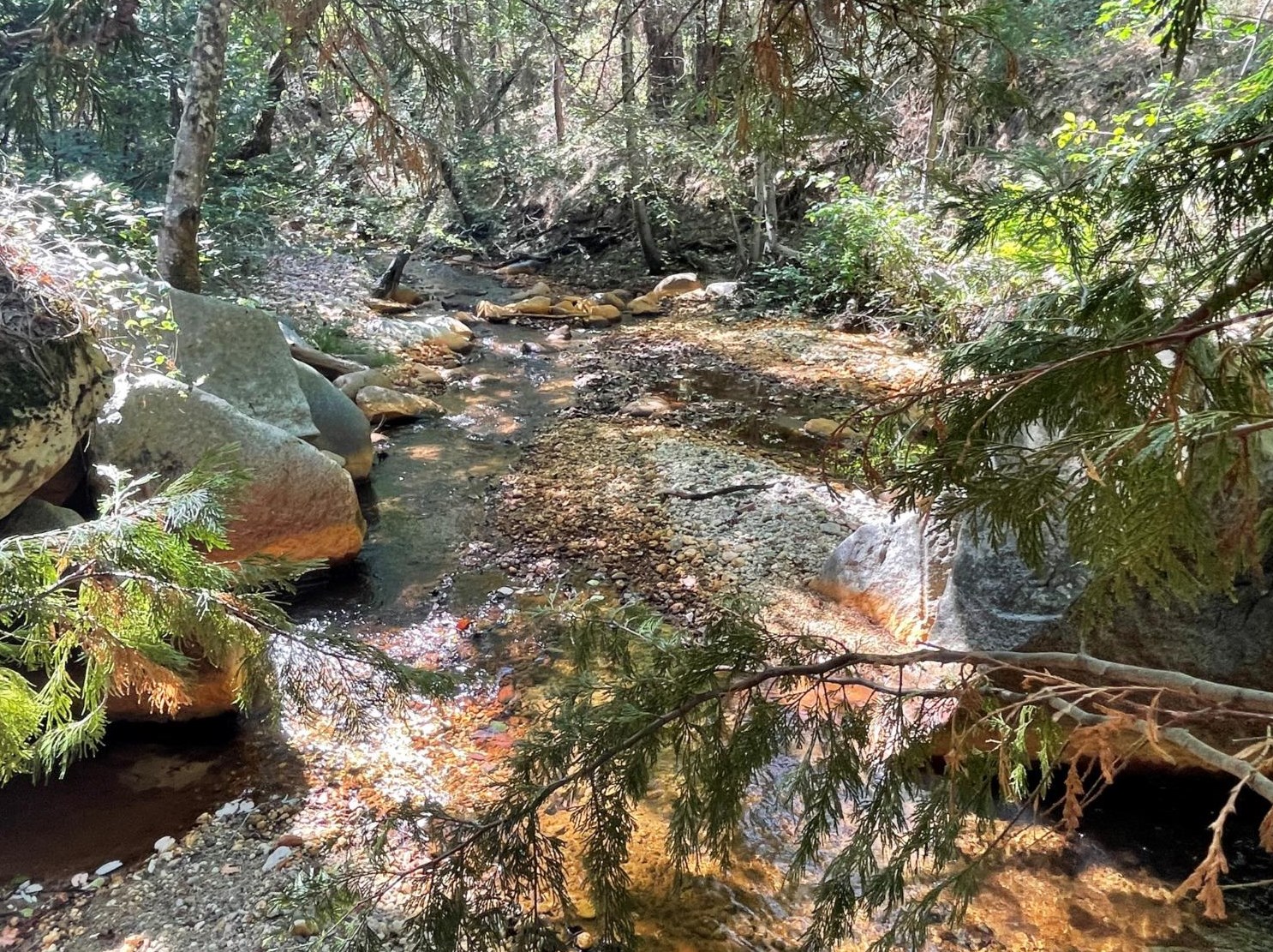 23416 Purdon Rd, Cherokee, CA 95959