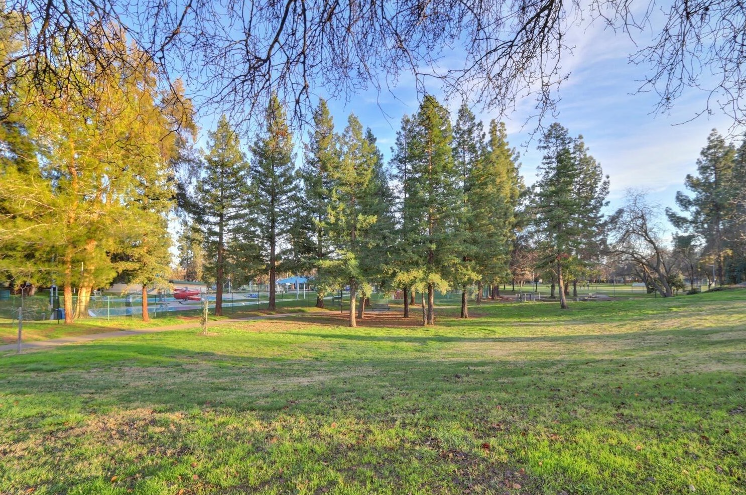 1324 Alder Pl, Davis CA  95618-1439 exterior