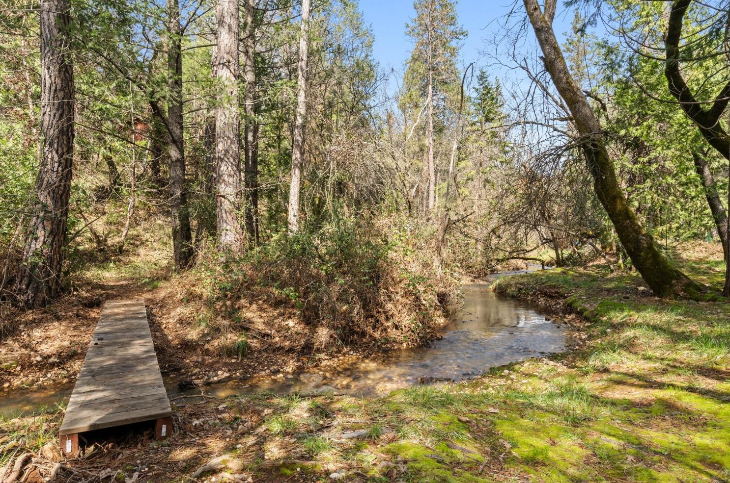 6212 Baywood Ct, Michigan Bluff, CA 95631