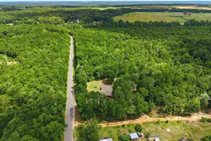 4526 Bryant Bridge Cutoff Rd, Holt, FL 32564 - Photo 52