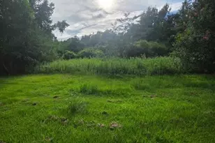 3675 Hazel Godwin Rd, Jay, FL 32565 - Photo 12