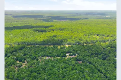 3 Acres Bryant Bridge Cutoff Road, Holt, FL 32564 - Photo 10