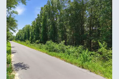 3 Acres Bryant Bridge Cutoff Road, Holt, FL 32564 - Photo 12