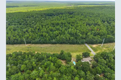 3 Acres Bryant Bridge Cutoff Road, Holt, FL 32564 - Photo 6