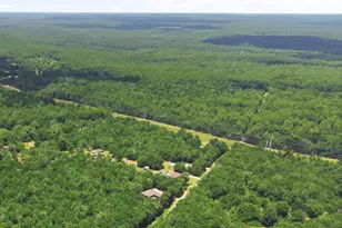 3 Acres Bryant Bridge Cutoff Rd, Holt, FL 32564 - Photo 1