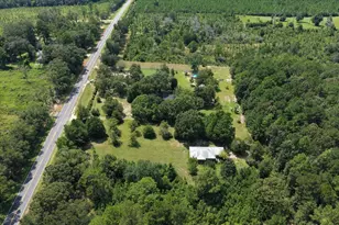 3407 Co Rd 2, Laurel Hill, FL 32567 - Photo 52