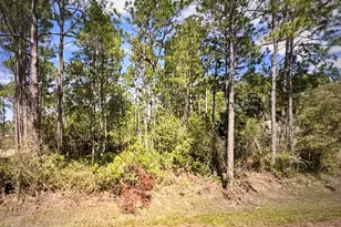 6600 Bryant Rd, Navarre, FL 32566 - Photo 1
