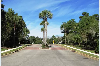 350 Tradewinds Drive, Santa Rosa Beach, FL 32459 - Photo 4