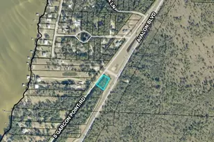 71 Acres Avalon Blvd, Milton, FL 32583 - Photo 2