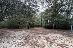 6512 Winston Brown Rd, Milton, FL 32570 - Photo 34