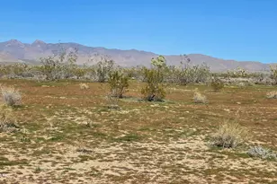 6705 E Red Barrel Rd, Yucca, AZ 86438 - Photo 52