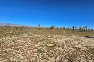 6705 E Red Barrel Rd, Yucca, AZ 86438 - Photo 54