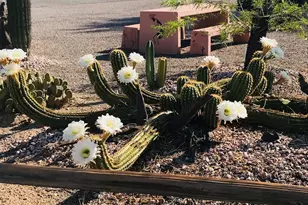 200 N Moon Mountain Ave, Quartzsite, AZ 85346 - Photo 46