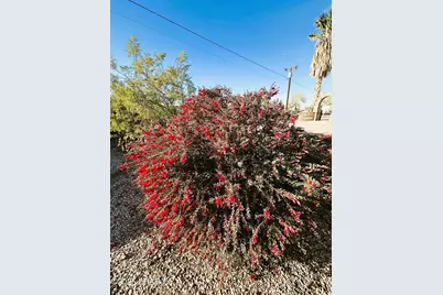 180 Sunrise St, Quartzsite, AZ 85346 - Photo 54