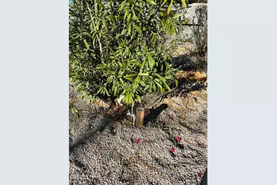 180 Sunrise St, Quartzsite, AZ 85346 - Photo 50