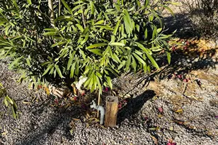 180 Sunrise St, Quartzsite, AZ 85346 - Photo 50