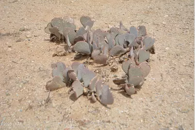 N15 Sundance Rd, Yucca, AZ 86438 - Photo 24