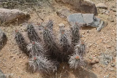 N15 Sundance Rd, Yucca, AZ 86438 - Photo 36