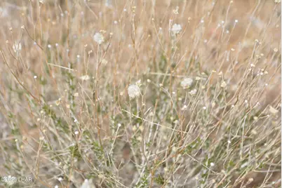 N15 Sundance Rd, Yucca, AZ 86438 - Photo 42