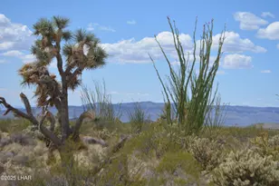 N15 Sundance Rd, Yucca, AZ 86438 - Photo 1