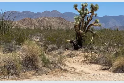 812 Stagecoach Trail, Yucca, AZ 86438 - Photo 4