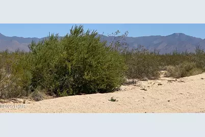 812 Stagecoach Trail, Yucca, AZ 86438 - Photo 8