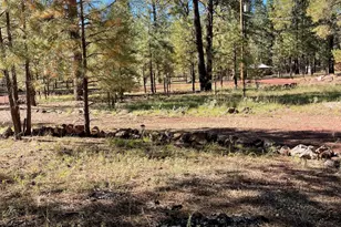 7681 E Robin Hood Rd, Williams, AZ 86046 - Photo 4