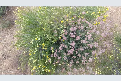 3501 S Wild Bill Rd, Yucca, AZ 86438 - Photo 22