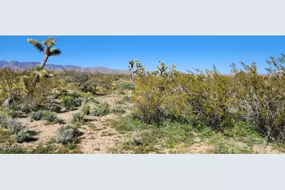 3501 S Wild Bill Rd, Yucca, AZ 86438 - Photo 2