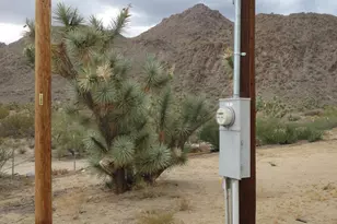 11964 S Nolan Rd, Yucca, AZ 86438 - Photo 22