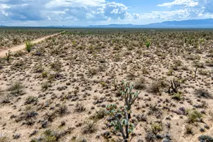 3607 S Kit Carson Rd, Yucca, AZ 86438 - Photo 6